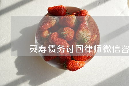 灵寿债务讨回律师微信咨询 灵寿债务讨回律师微信咨询