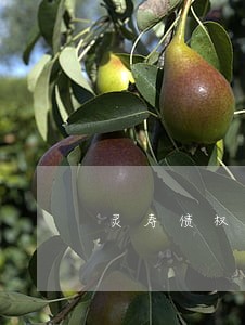 灵寿债权债务律师选谁 灵寿债权债务律师选谁