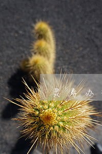 灵寿办理债权债务律师 灵寿办理债权债务律师