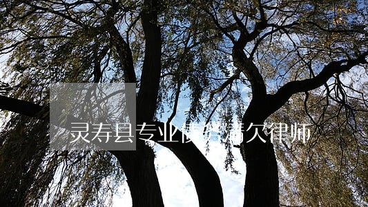灵寿县专业债务清欠律师 灵寿县专业债务清欠律师