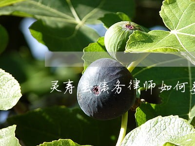 灵寿县债务律师如何委托