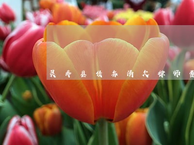 灵寿县债务清欠律师费用 灵寿县债务清欠律师费用