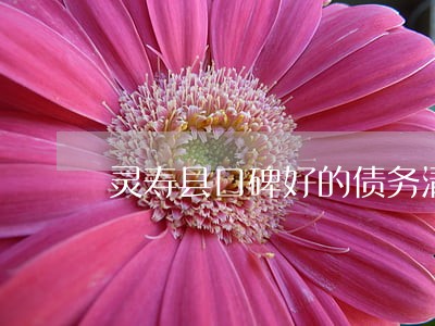 灵寿县口碑好的债务清欠律师 灵寿县口碑好的债务清欠律师