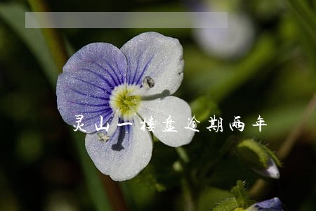 灵山一楼盘逾期两年 灵山一楼盘逾期两年