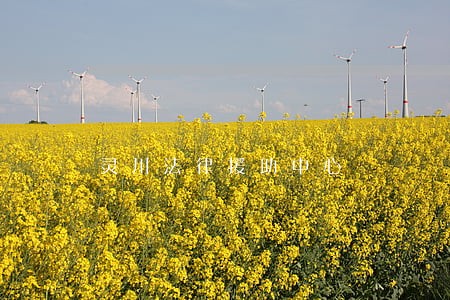 灵川法律援助中心 灵川法律援助中心