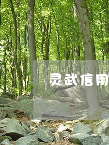 灵武信用卡逾期 灵武信用卡逾期