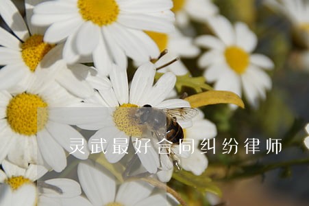 灵武最好合同纠纷律师 灵武最好合同纠纷律师