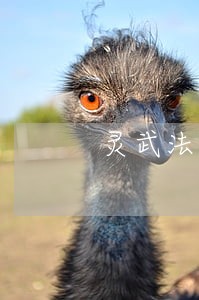 灵武法院积极开展扫黑除恶宣传 灵武法院积极开展扫黑除恶宣传