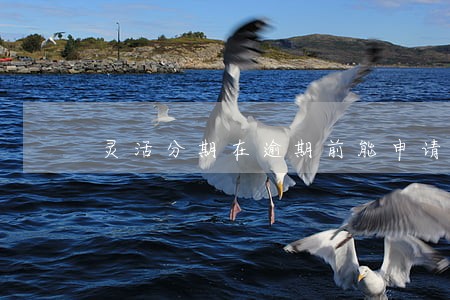 灵活分期在逾期前能申请吗 灵活分期在逾期前能申请吗