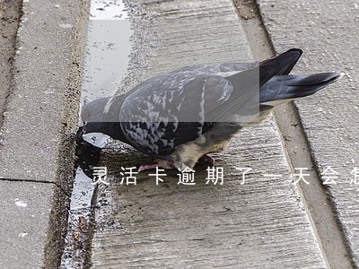 灵活卡逾期了一天会怎么样 灵活卡逾期了一天会怎么样