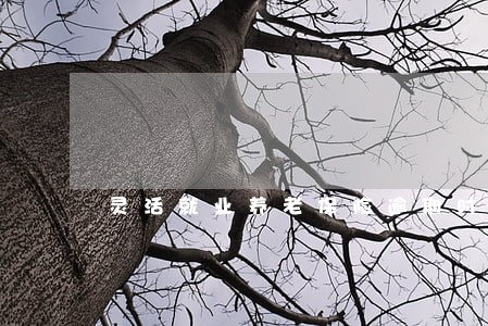 灵活就业养老保险逾期时间