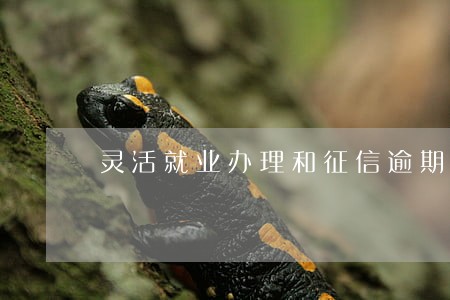 灵活就业办理和征信逾期有关吗 灵活就业办理和征信逾期有关吗