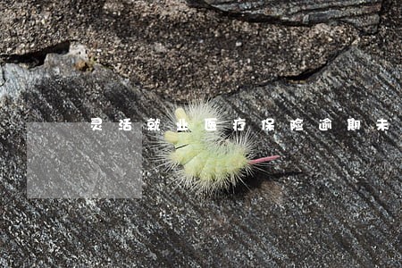 灵活就业医疗保险逾期未缴纳 灵活就业医疗保险逾期未缴纳