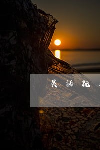 灵活就业社保12月交不逾期吧 灵活就业社保12月交不逾期吧