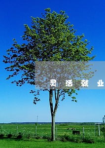 灵活就业社保逾期广州市