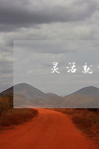 灵活就业缴费逾期 灵活就业缴费逾期