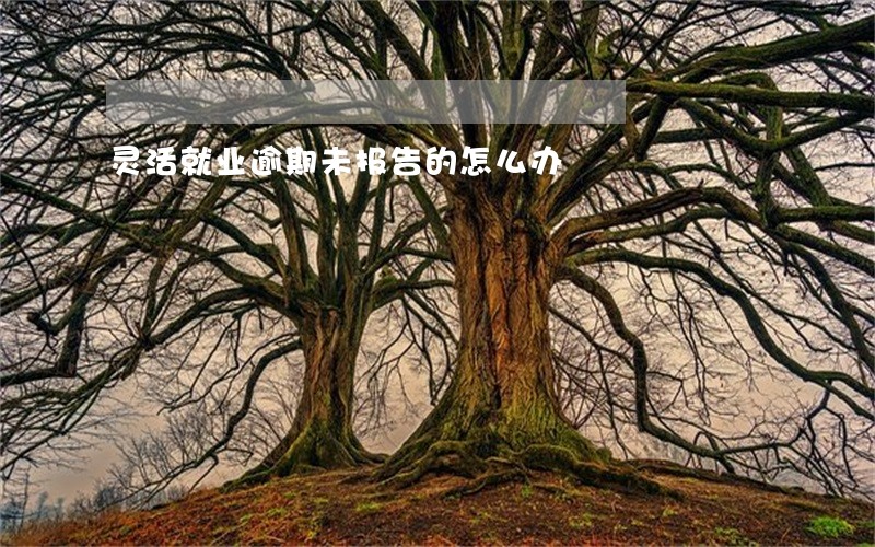 灵活就业逾期未报告的怎么办 灵活就业逾期未报告的怎么办