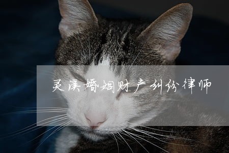 灵溪婚姻财产纠纷律师 灵溪婚姻财产纠纷律师