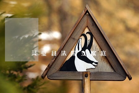 灵璧县法院立案庭 灵璧县法院立案庭