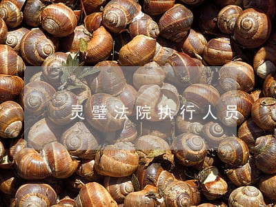 灵璧法院执行人员