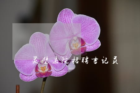 灵璧法院招聘书记员 灵璧法院招聘书记员