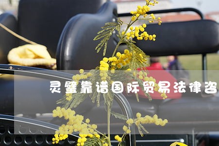 灵璧靠谱国际贸易法律咨询律师 灵璧靠谱国际贸易法律咨询律师