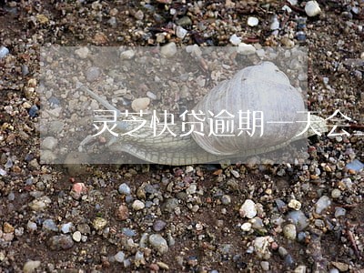 灵芝快贷逾期一天会上征信吗 灵芝快贷逾期一天会上征信吗