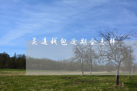 灵通钱包逾期会怎样 灵通钱包逾期会怎样
