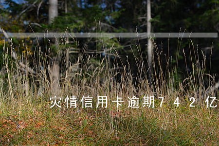 灾情信用卡逾期742亿