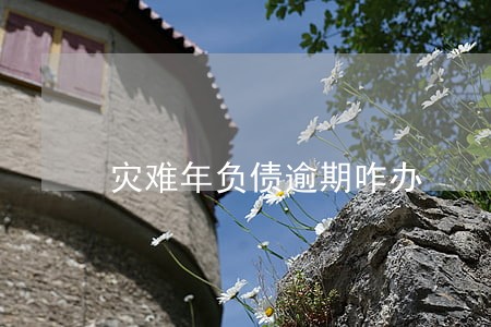 灾难年负债逾期咋办 灾难年负债逾期咋办
