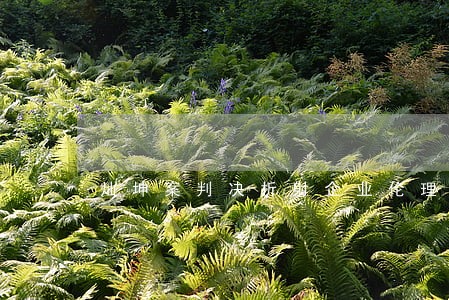 灿坤案判决折射企业伦理缺失 灿坤案判决折射企业伦理缺失