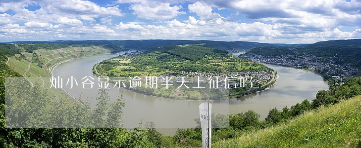 灿小谷显示逾期半天上征信吗 灿小谷显示逾期半天上征信吗