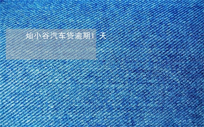 灿小谷汽车贷逾期1天 灿小谷汽车贷逾期1天