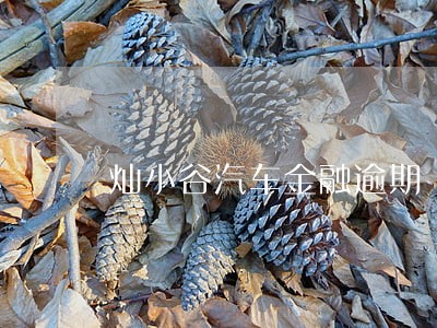 灿小谷汽车金融逾期 灿小谷汽车金融逾期