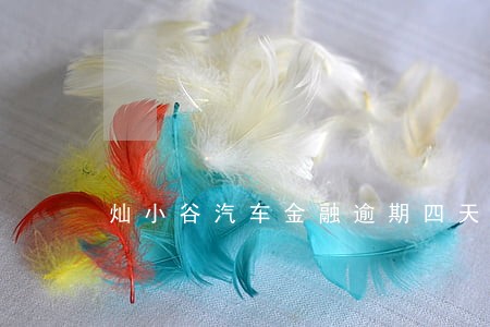 灿小谷汽车金融逾期四天 灿小谷汽车金融逾期四天