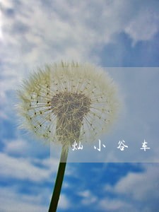 灿小谷车贷逾期 灿小谷车贷逾期