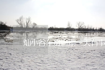 灿小谷车贷逾期一天有事吗 灿小谷车贷逾期一天有事吗