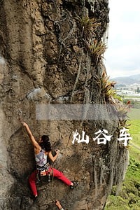 灿谷车贷逾期 灿谷车贷逾期