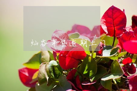 灿谷车贷逾期上门 灿谷车贷逾期上门