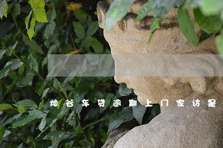 灿谷车贷逾期上门家访是真的吗 灿谷车贷逾期上门家访是真的吗