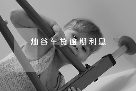 灿谷车贷逾期利息 灿谷车贷逾期利息