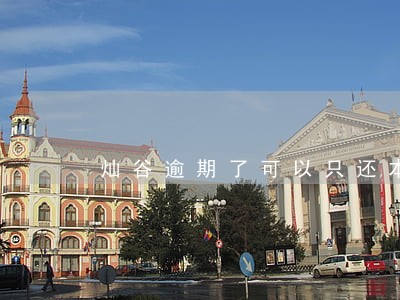 灿谷逾期了可以只还本金吗 灿谷逾期了可以只还本金吗