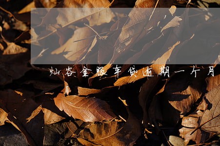 灿谷金服车贷逾期一个月会拖车吗 灿谷金服车贷逾期一个月会拖车吗