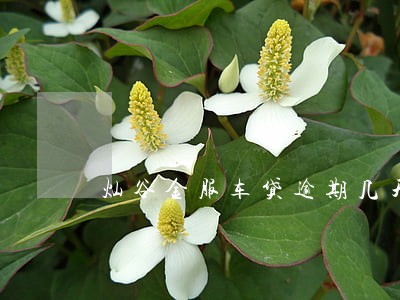 灿谷金服车贷逾期几天 灿谷金服车贷逾期几天