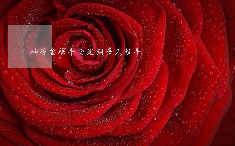 灿谷金服车贷逾期多久收车 灿谷金服车贷逾期多久收车