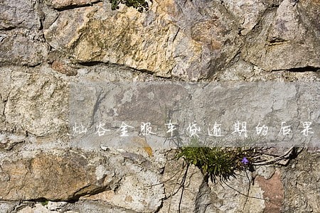 灿谷金服车贷逾期的后果 灿谷金服车贷逾期的后果