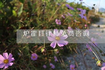 炉霍县律师免费咨询 炉霍县律师免费咨询