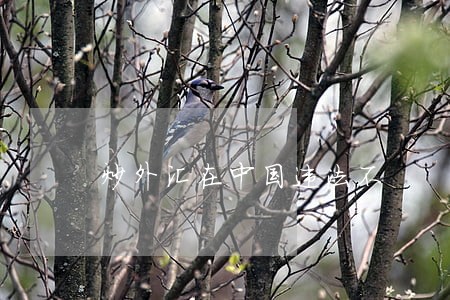 炒外汇在中国违法不 炒外汇在中国违法不