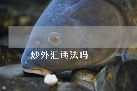炒外汇违法吗 炒外汇违法吗