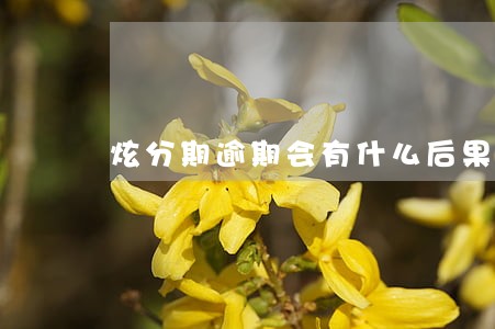 炫分期逾期会有什么后果 炫分期逾期会有什么后果